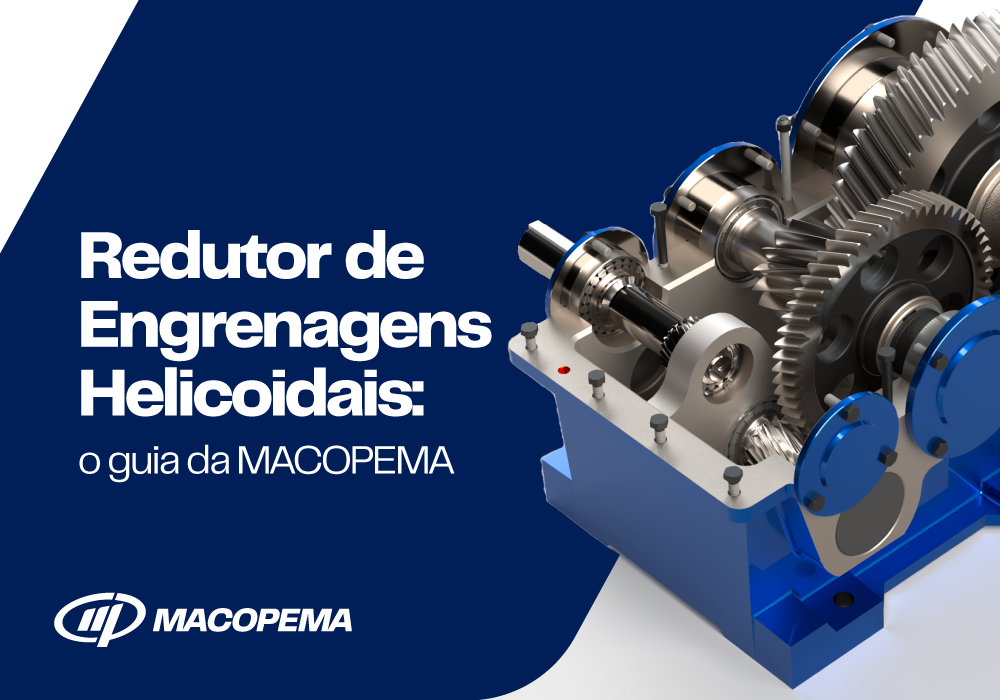 1000-700-max (7)